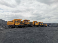 Внедорожный самосвал TLD65